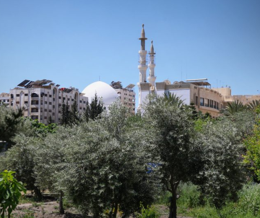 الحرارة إلى ارتفاع والطقس مستقر في عموم المناطق السورية